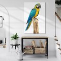 Obraz na płótnie 70x100 - Kolorowa papuga w locie - papuga, ptak
