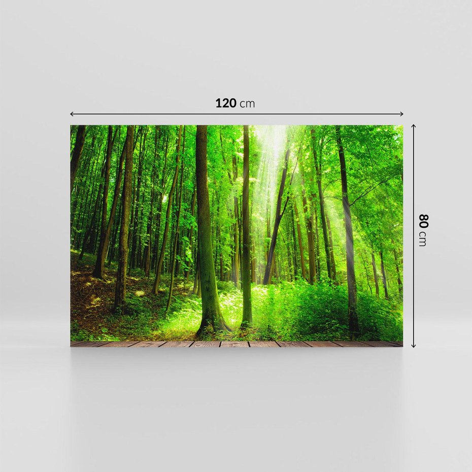 Obraz na płótnie 120x80 - Spacer po urokliwej dróżce w lesie - las, dróżka