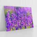 Obraz na płótnie 120x80 - Zaklęta lawenda - lawenda, kwiaty