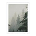 Plakat bez ramy 21x30 - Mglista przemiana lasu - las, mgła