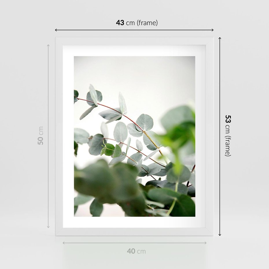 Plakat w ramie 40x50 - Zielony Świat Eukaliptusa - eukaliptus, fotografia - rama biała