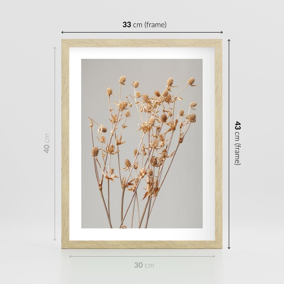 Plakat w ramie 30x40 - Delikatne gipsówki - gipsówka, suche - rama drewno