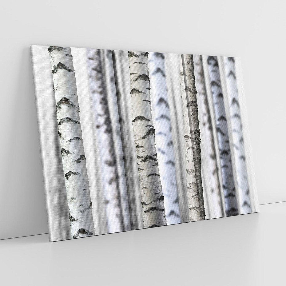 Obraz na płótnie 120x80 - Delikatność brzóz - brzozy, las