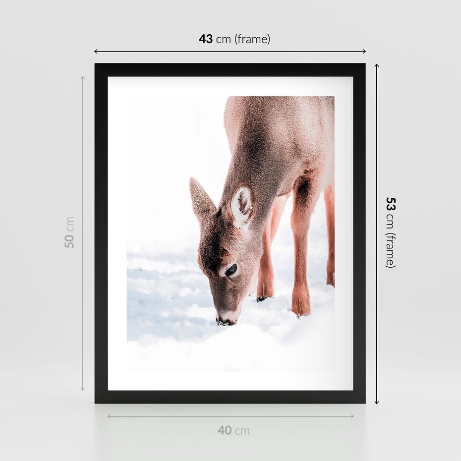 Plakat w ramie 40x50 - Sarna w Zimowym Raju - sarna, na śniegu - rama czarna