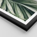 Plakat w ramie 50x70 - Spokojna Piękność Palmowych Liści - palma, liście palmy - rama czarna