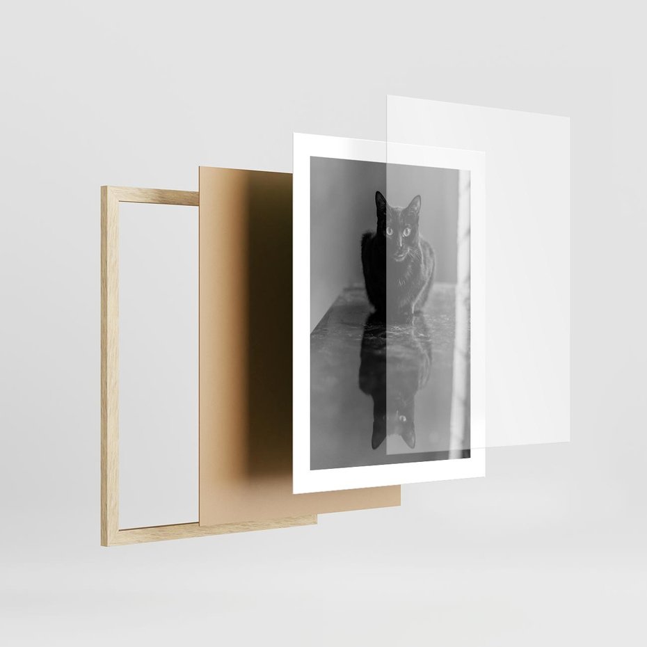 Plakat w ramie 30x40 - Kocie Oczy - kot, czarno białe zdjęcie - rama drewno