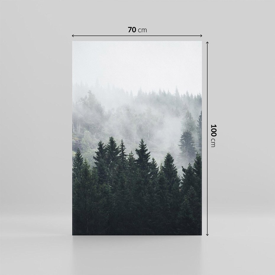 Obraz na płótnie 70x100 - Las w górach: mistyczna mgła - las, góry