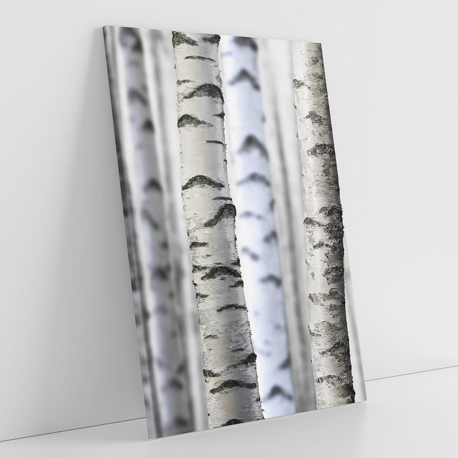 Obraz na płótnie 80x120 - Delikatność brzóz - brzozy, las