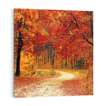 Obraz na płótnie 50x50 - Jesienna melodia lasu - jesień, las
