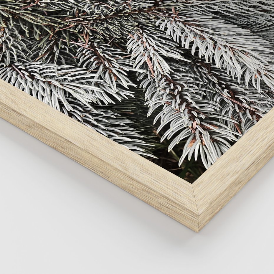 Zestaw obrazy w ramie 40x50 galeria - Las, zima, kawa - rama drewno