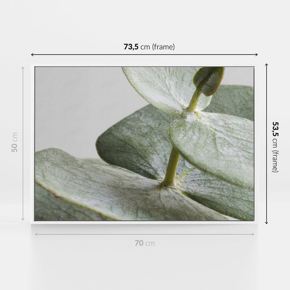 Obraz w ramie 70x50 - Eukaliptusowa zieleń - eukaliptus, zielone - rama biała