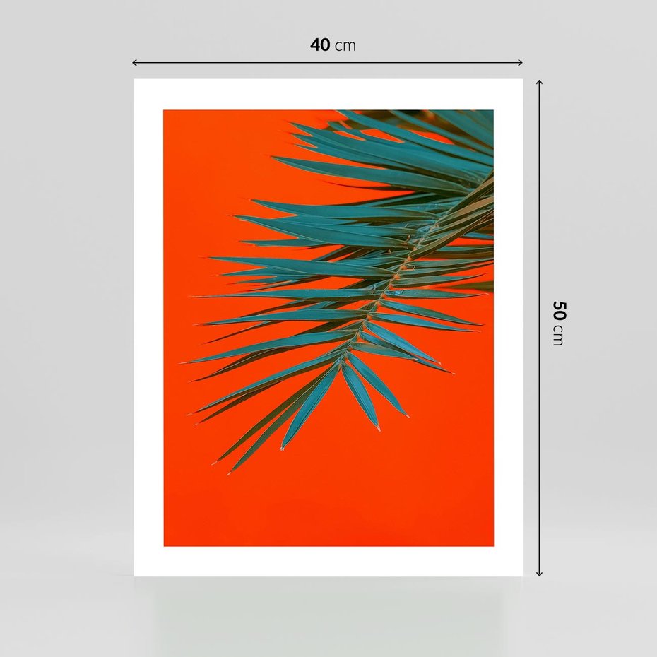 Plakat bez ramy 40x50 - Egzotyczny Urok - liście, palma