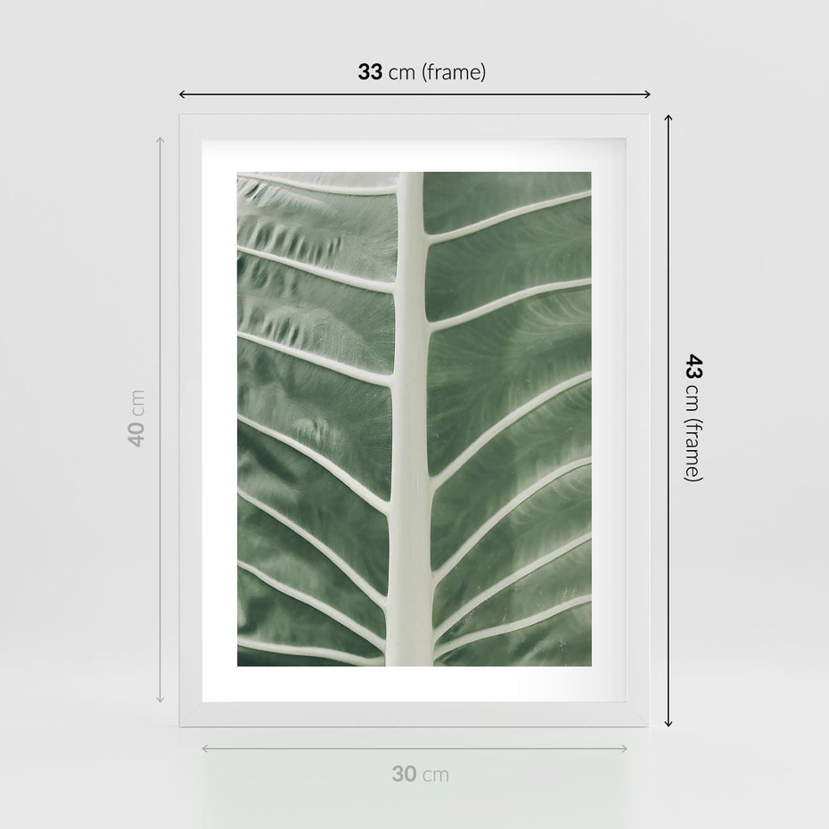 Plakat w ramie 30x40 - Zielone Wielkości: Zbliżenie Liścia - zbliżenie duz liść, jasna zieleń - rama biała