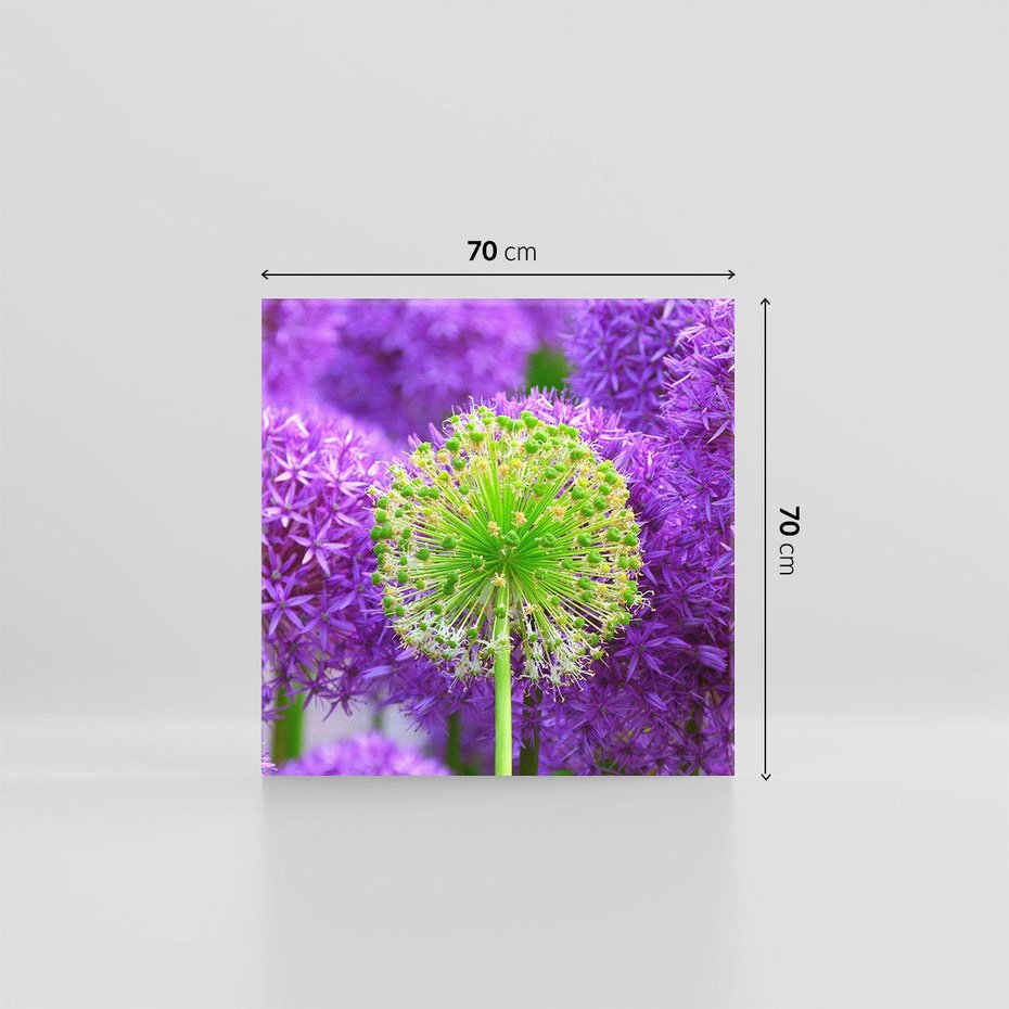 Obraz na płótnie 70x70 - Kwiatowy Raj - kwiat, kwiaty