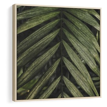 Obraz w ramie 50x50 - W Liściach Ukryte - zdjęcie, fotografia - rama drewno