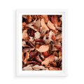 Plakat w ramie 50x70 - Magia Jesiennej Ziemi - liście, jesień - rama biała