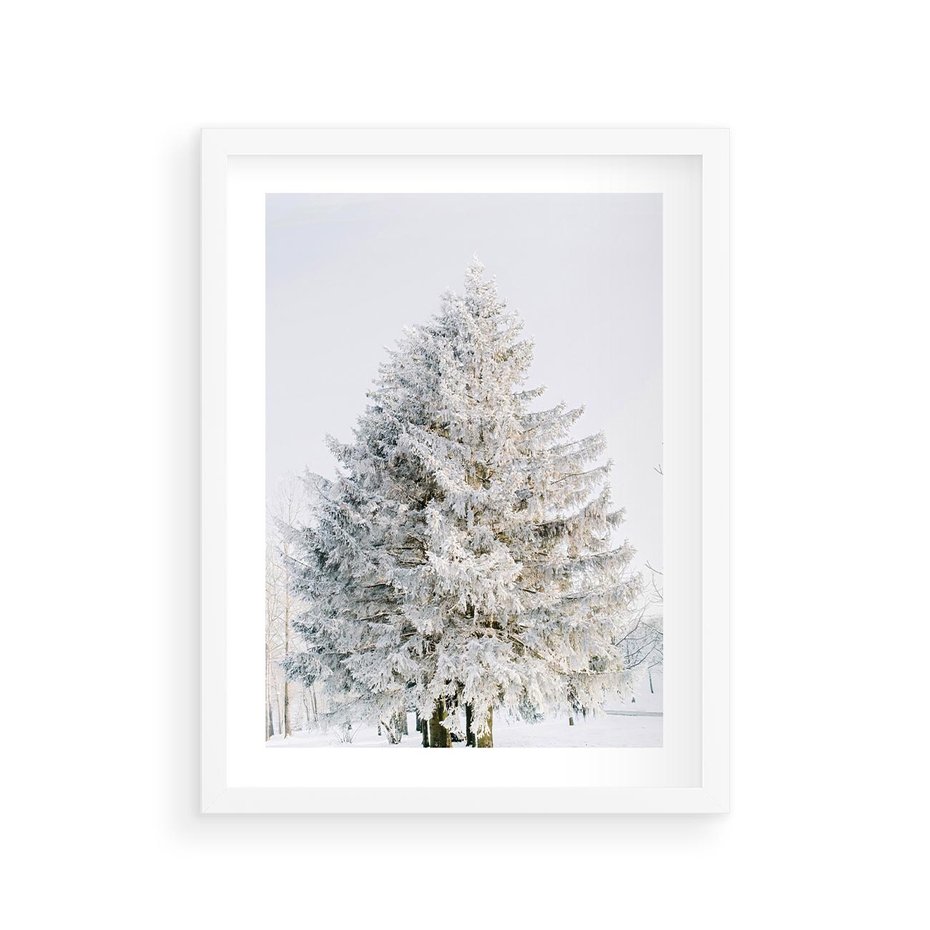 Plakat w ramie 30x40 - Zimowa Poezja w Ośnieżonym Drzewie - ośnieżone drzewo, zima - rama biała