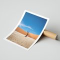 Plakat bez ramy 21x30 - Słońce i Suche Drzewo - pustynia, suche
