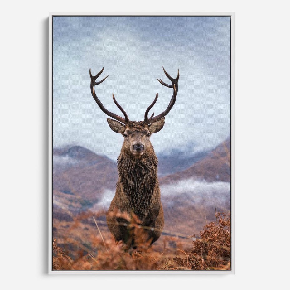 Obraz w ramie 50x70 - Jeleń w Uśpionym Krajobrazie - jeleń na tle gór, ośnieżone góry - rama biała