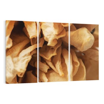 Obraz na płótnie 120x80 - Zjawiskowe zasuszone kwiaty - zasuszone, kwiaty