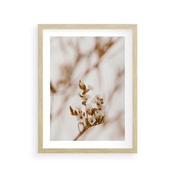 Plakat w ramie 40x50 - Kwiatowa suchość - kwiaty, susz - rama drewno