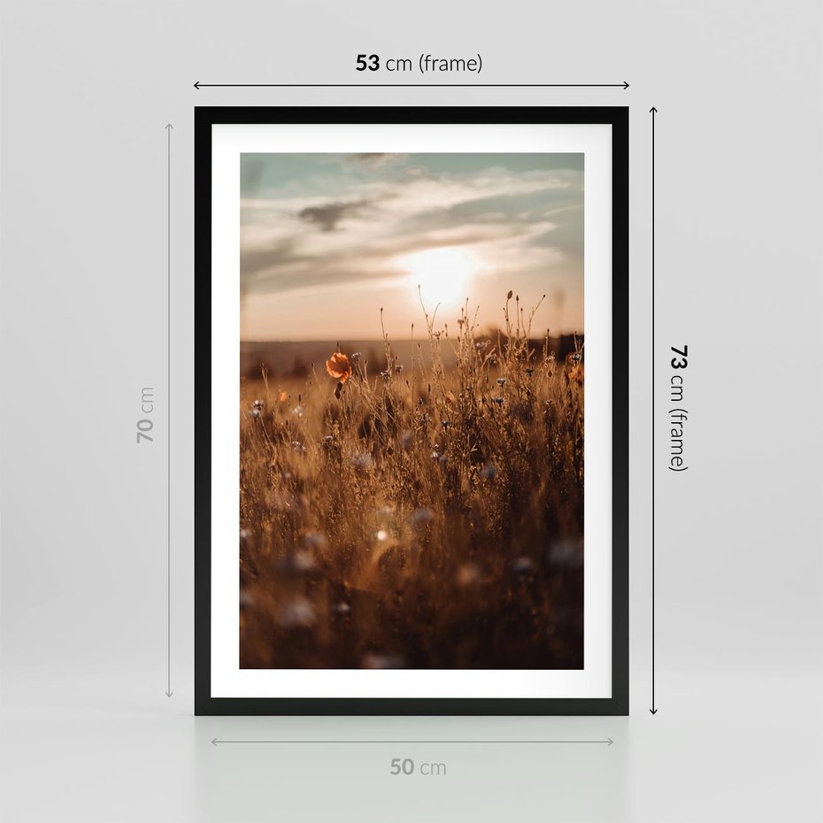 Plakat w ramie 50x70 - Zachwyt zachodem słońca na łące - zachód, słońca - rama czarna