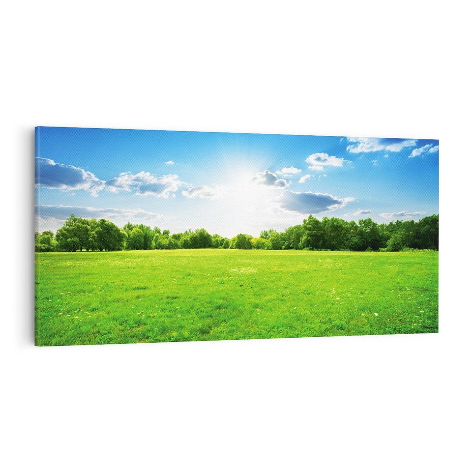 Obraz na płótnie 120x60 - Idylla na łące drzew - łąka, drzewa