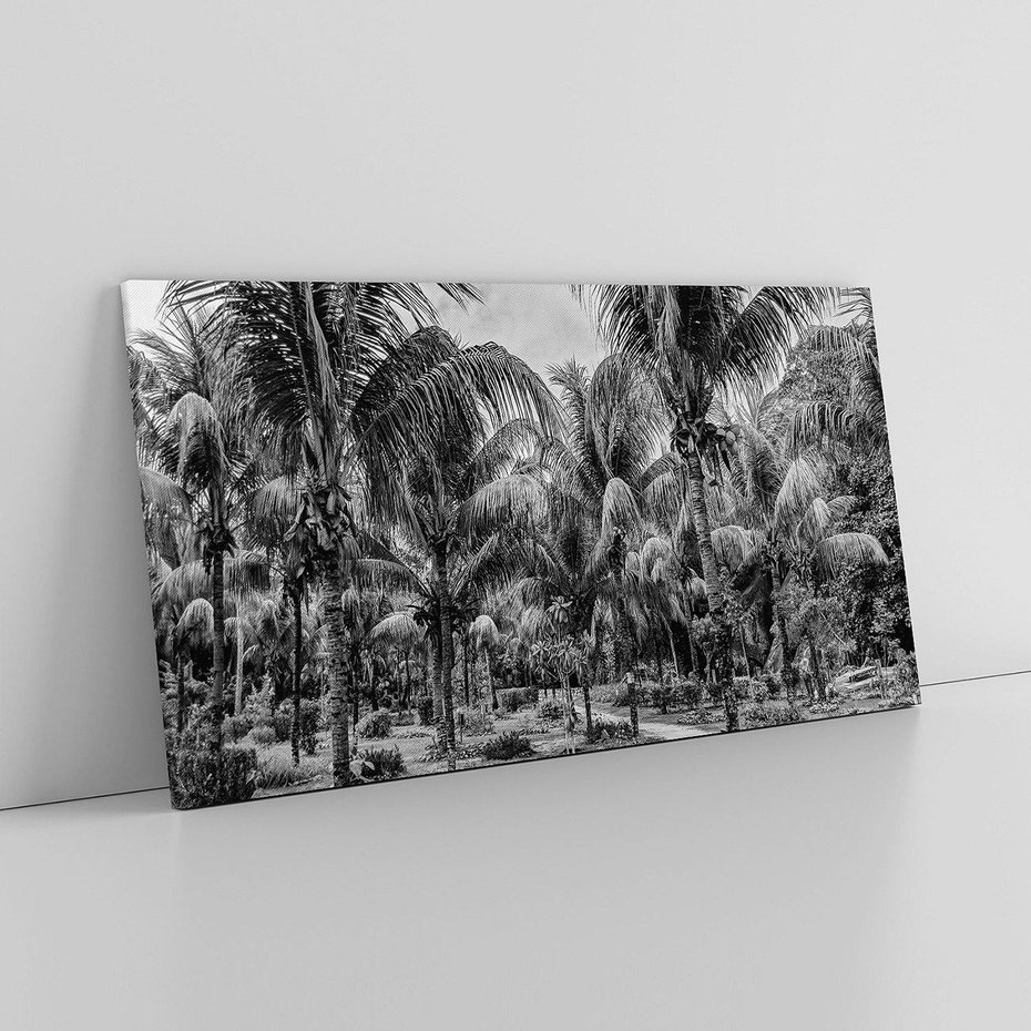 Obraz na płótnie 100x50 - Mroczna Ścieżka Tropików - czarno biała fotografia, ścieżka pośród palm