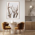 Plakat w ramie 50x70 - Pustynna Harmonia Gałęzi - pustynna roślina, suche gałęzie - rama drewno