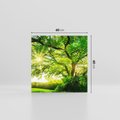 Obraz na płótnie 60x60 - Natura w pełnym rozkwicie - drzewo, niebo
