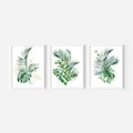 Zestaw obrazy w ramie 50x70 galeria - Liście, monstera, palma, złote, akwarele - rama biała