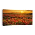 Obraz na płótnie 100x50 - Makowe uczucia - maki, kwiaty