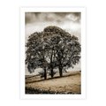 Plakat bez ramy 40x50 - Spokojna Osamotniona Chwila - beżowe kolory, samotne drzewo na polu