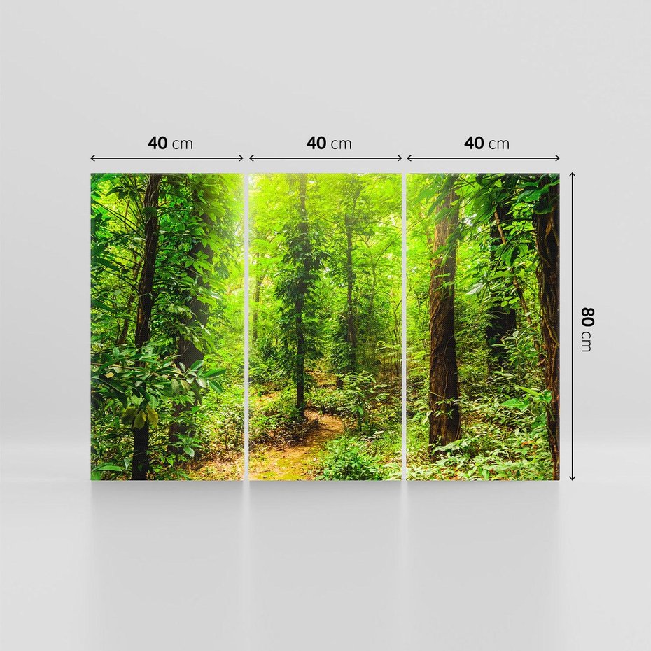 Obraz na płótnie 120x80 - Współistnienie z naturą - drzewa, las