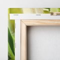 Obraz na płótnie 30x30 - Białe Piękno - białe, tulipany