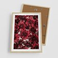 Plakat w ramie 50x70 - Energia Kwiatów - czerwone kwiaty, kompozycja - rama drewno