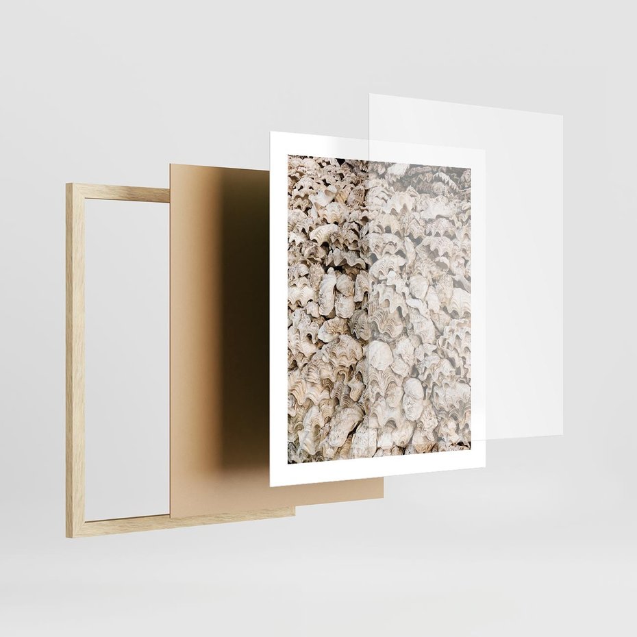 Plakat w ramie 40x50 - Symfonia Natury - kompozycja z białych muszli - rama drewno