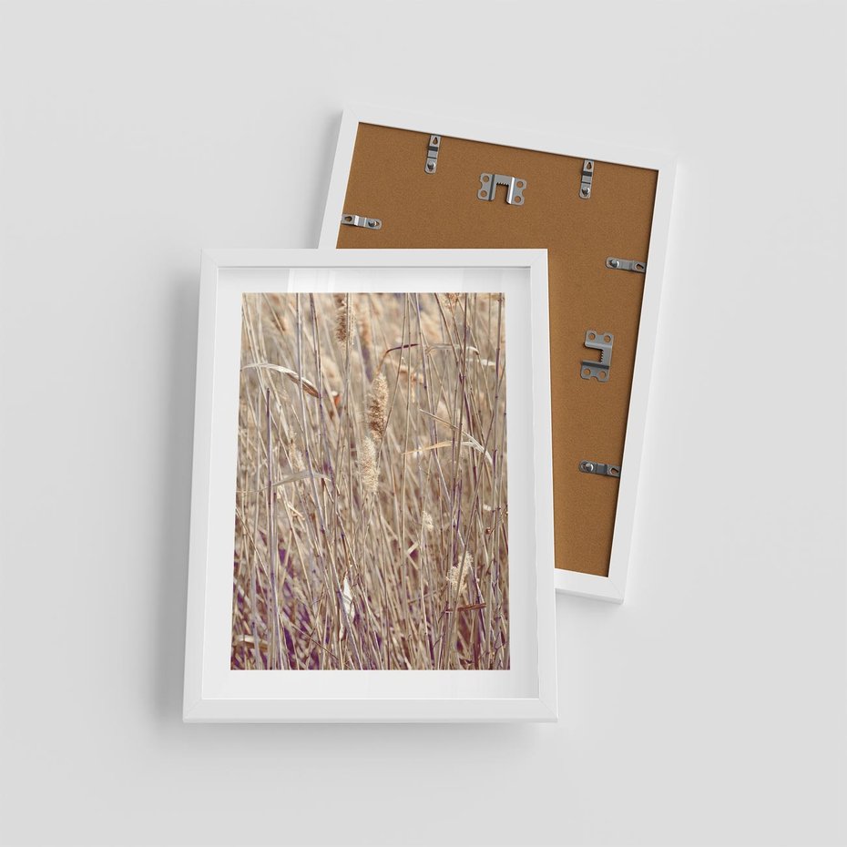 Plakat w ramie 30x40 - Suche Trawy w Wyjątkowym Stylu - suche trawy, boho styl - rama biała
