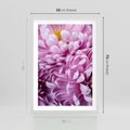 Plakat w ramie 50x70 - Fioletowy zawrót głowy - kwiat, różowy kwiat - rama biała
