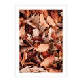 Plakat bez ramy 21x30 - Magia Jesiennej Ziemi - liście, jesień