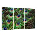 Obraz na płótnie 120x80 - Pawi Ogon - Piękno i Wspaniałość - paw, pióra