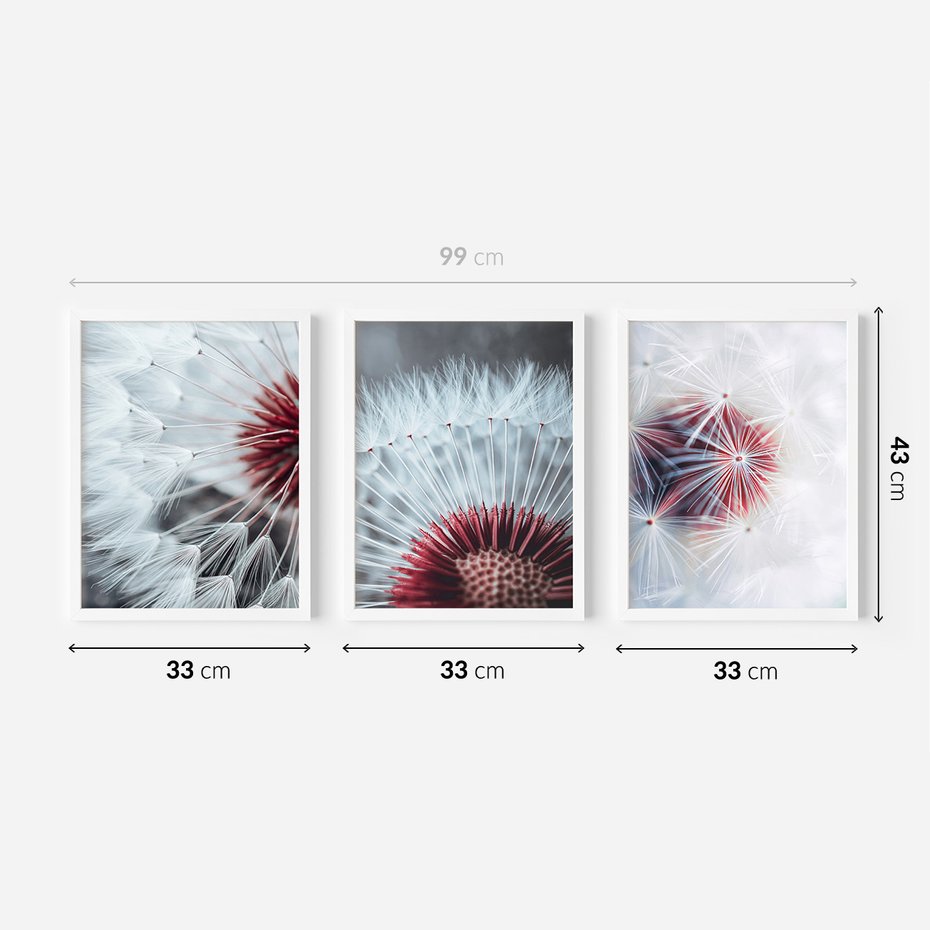 Zestaw obrazy w ramie 30x40 galeria - Dmuchawiec, makro, nowoczesny, styl - rama biała