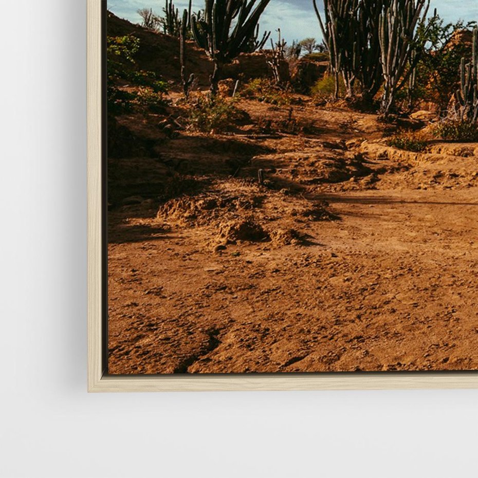 Obraz w ramie 100x70 - Skarby Pustynnego Kanionu - pustynia, kaktusy - rama drewno