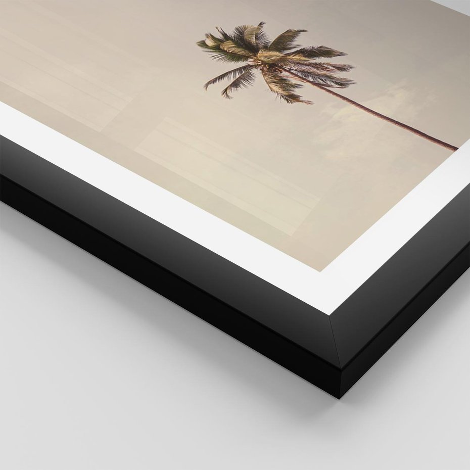 Plakat w ramie 30x40 - Samotna Palma pod Niebem - samotna palma, na tle nieba - rama czarna