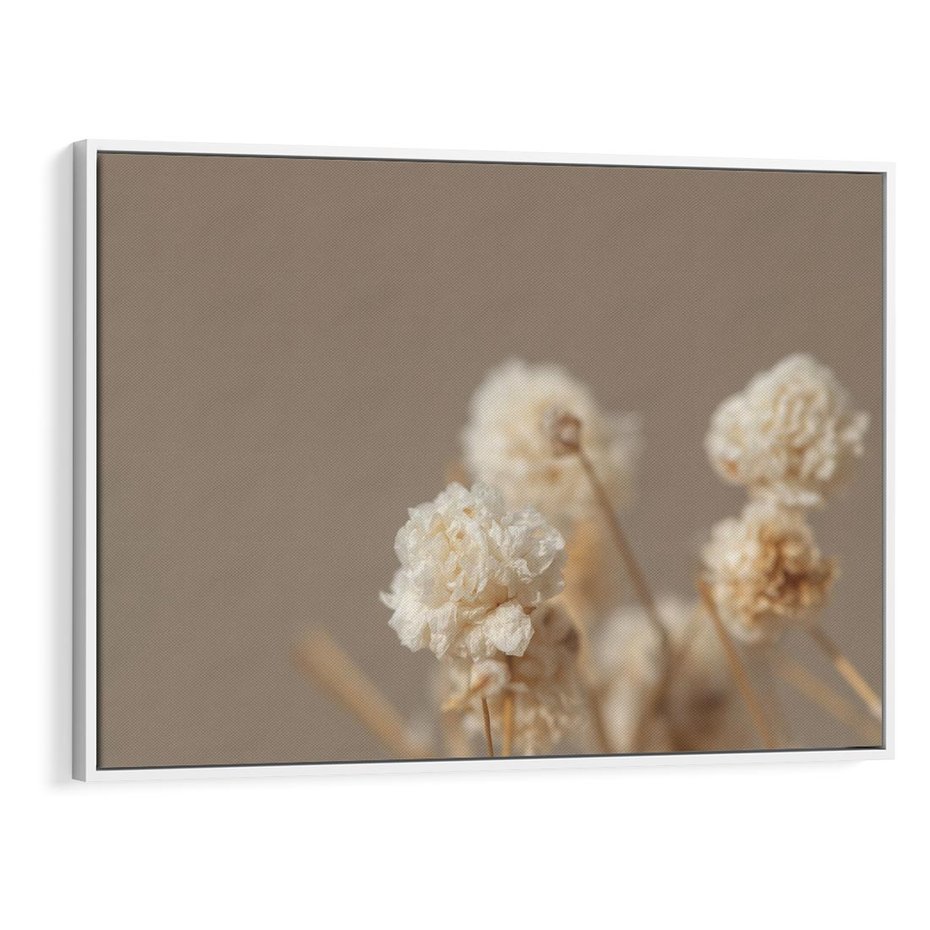 Obraz w ramie 100x70 - Przezroczyste piękno - gipsówka, suche - rama biała