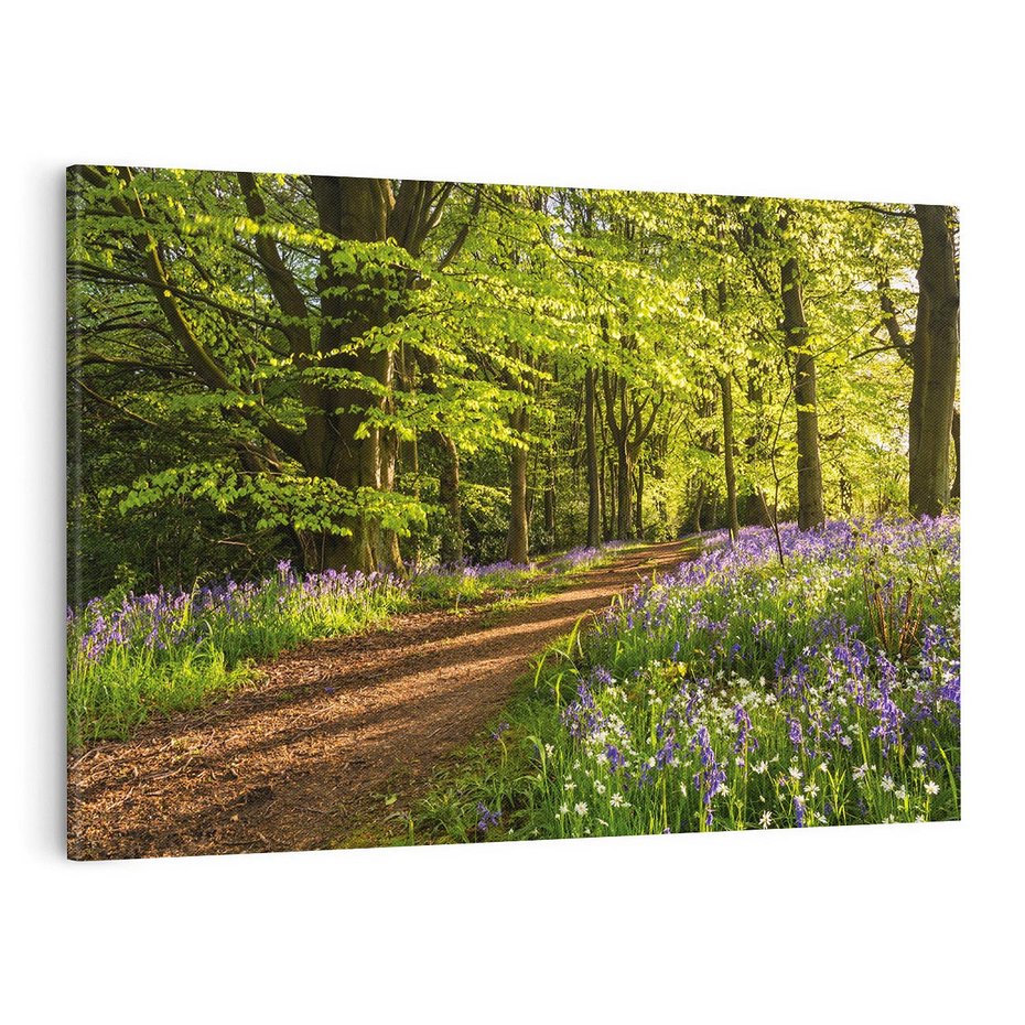 Obraz na płótnie 120x80 - Magia lasu: Drzewa w tajemniczej otoczce - las, drzewa