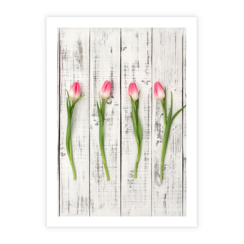 Plakat bez ramy 50x70 - Kwintesencja Piękna - kwiaty, tulipany
