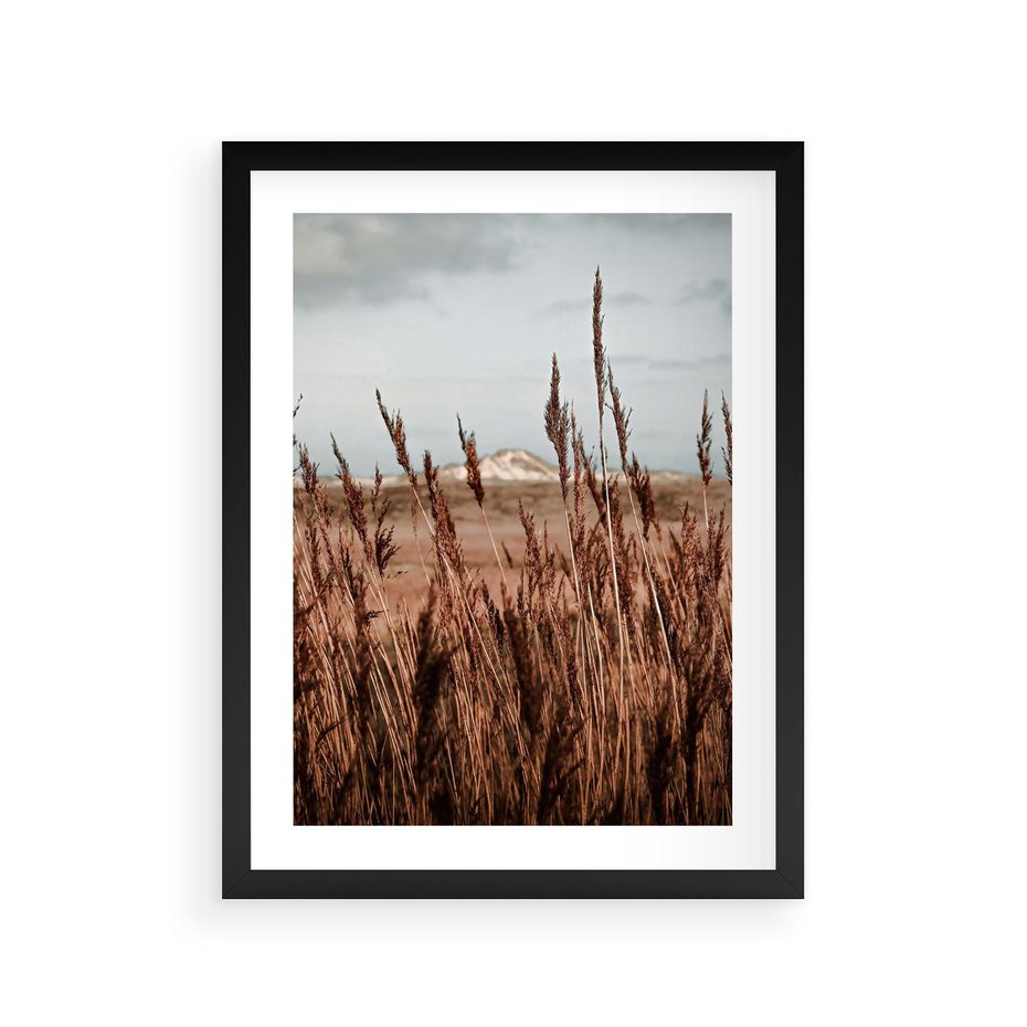 Plakat w ramie 30x40 - Wysokie Trawy w Górskim Krajobrazie - suche trawy, wysokie trawy - rama czarna