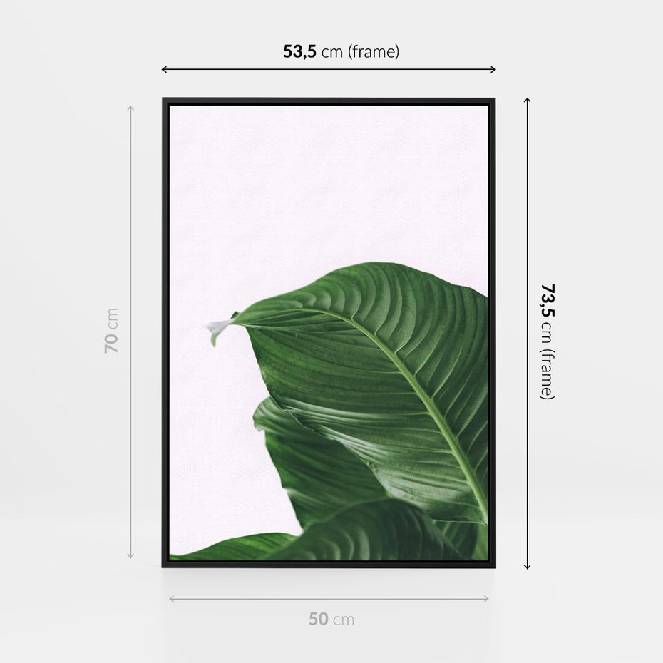 Obraz w ramie 50x70 - Zielone liście monstery - liście, monstera - rama czarna