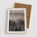 Plakat w ramie 50x70 - Mglista Opowieść Lasu - las, mgła - rama drewno